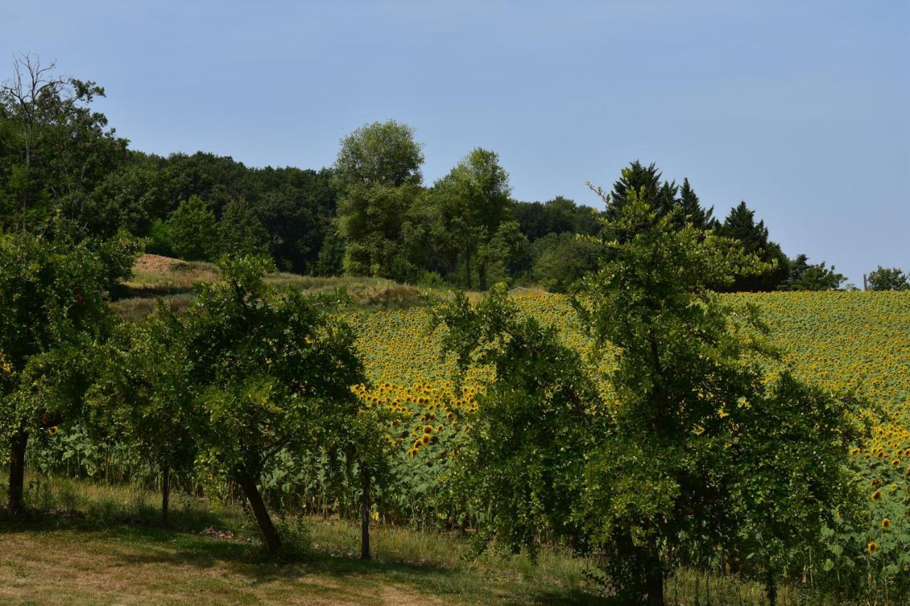 Domaine De Calbiac Bed & Breakfast Dolmayrac ภายนอก รูปภาพ