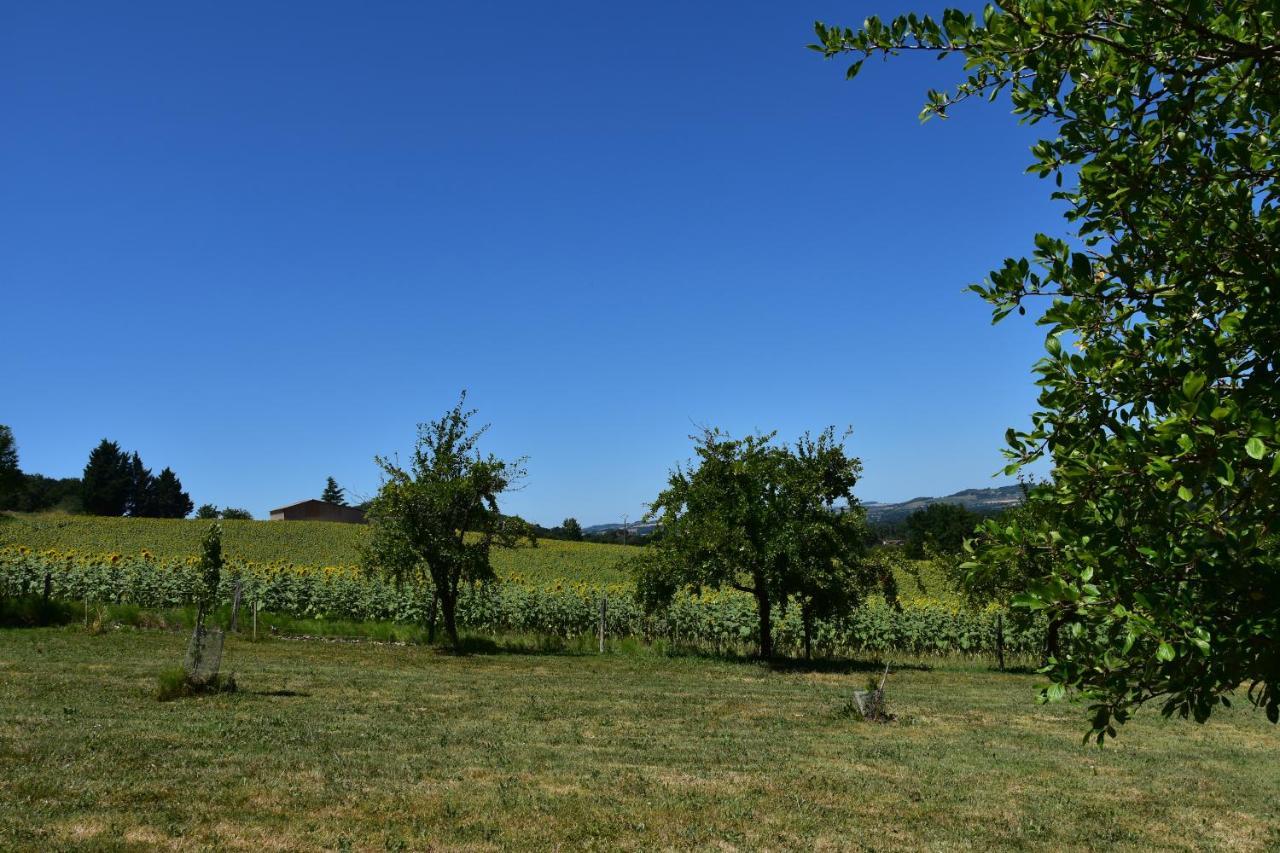 Domaine De Calbiac Bed & Breakfast Dolmayrac ภายนอก รูปภาพ