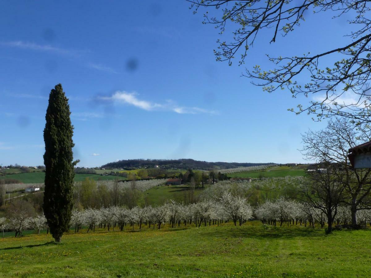 Domaine De Calbiac Bed & Breakfast Dolmayrac ภายนอก รูปภาพ